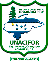 Logo de la universidad