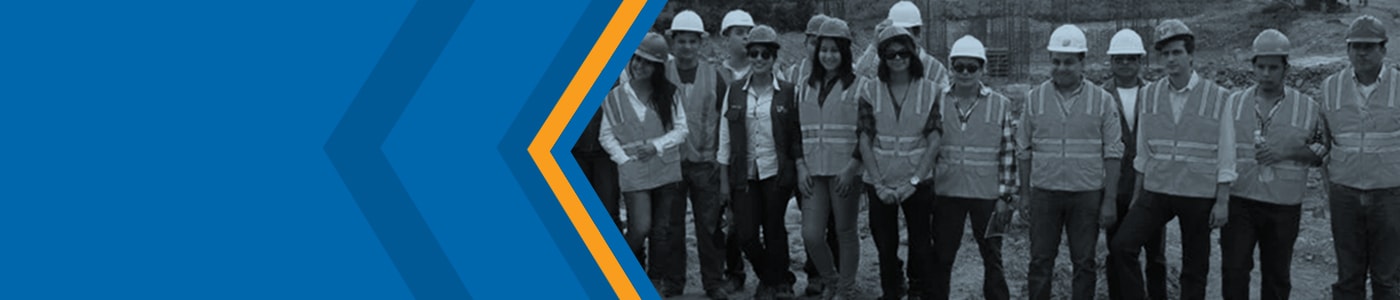 Universidad Politécnica de Ingeniería UPI